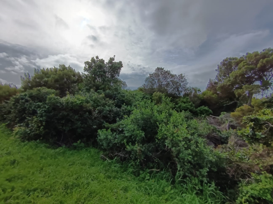 Commercial Property for Sale in Santareme Eastern Cape